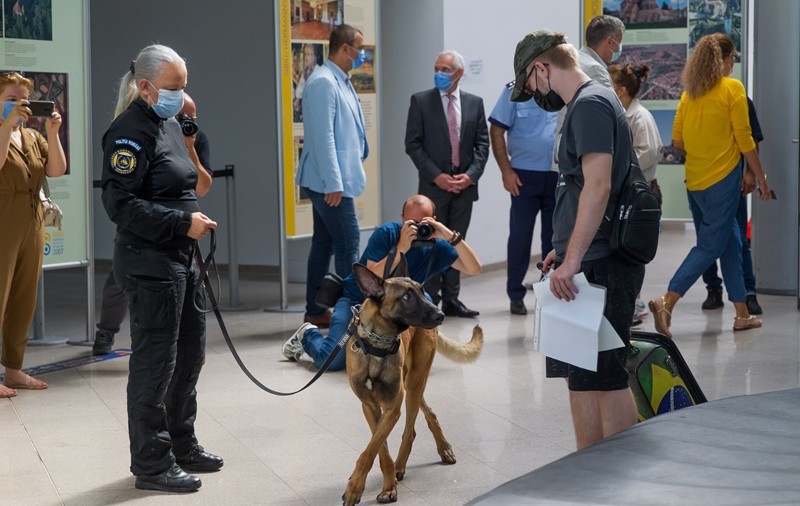 Un câine antrenat să depisteze infecția cu COVID a descoperit un pasager pozitiv pe Aeroportul din Sibiu