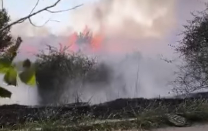 Incendiu puternic de vegetație în Galați. Un cartier de locuințe este în pericol I VIDEO 
