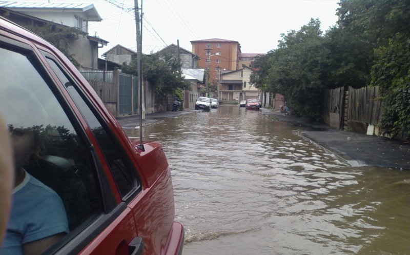 Arhiva foto
