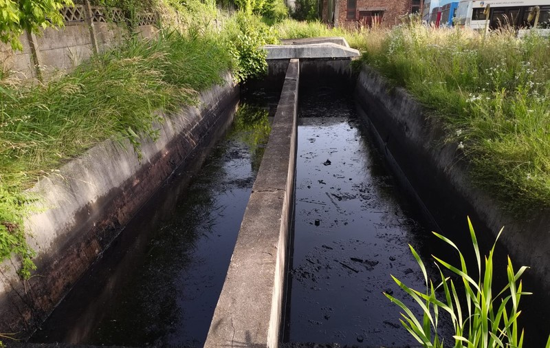 Un pui de căprioară a fost salvat de pompierii hunedoreni, după ce a căzut într-un bazin cu ulei
