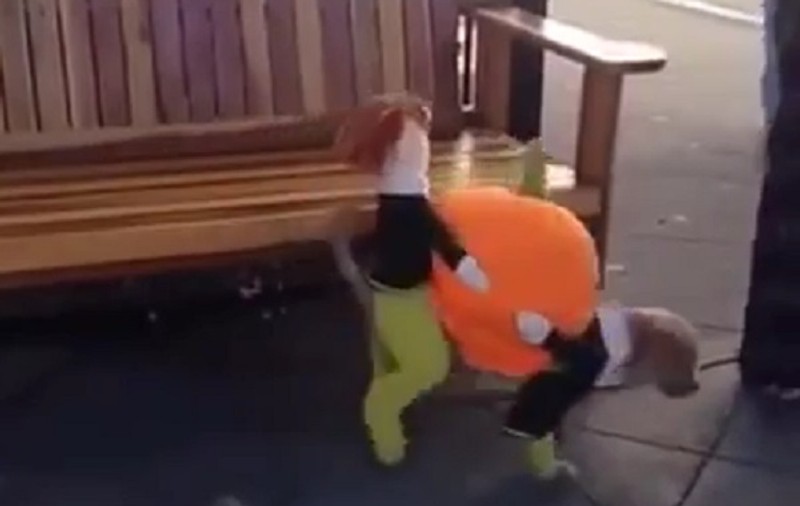VIDEO| Cel mai tare costum de Halloween pentru câini