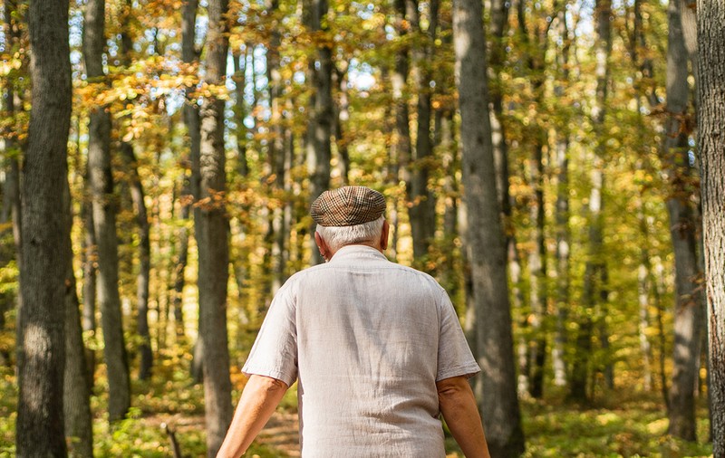 Un pensionar se luptă de 15 ani să recupereze o pădure confiscată de comuniști. „Mă apropii de 70 de ani și nu cred că mai pot”