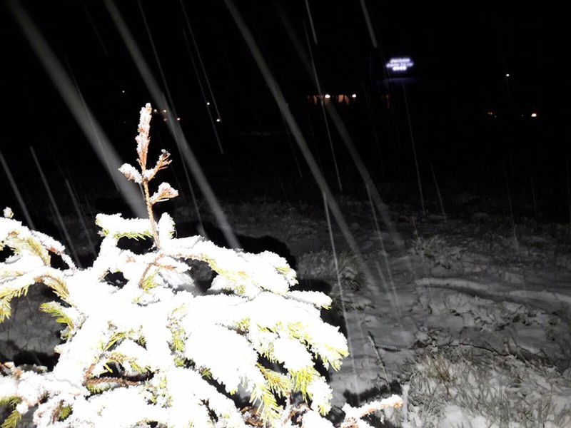 Ninsoare în Munții Șureanu sursa foto: facebook.com