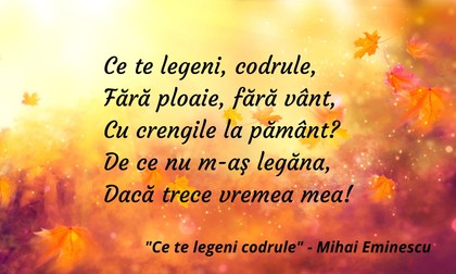 Ce te legeni codrule