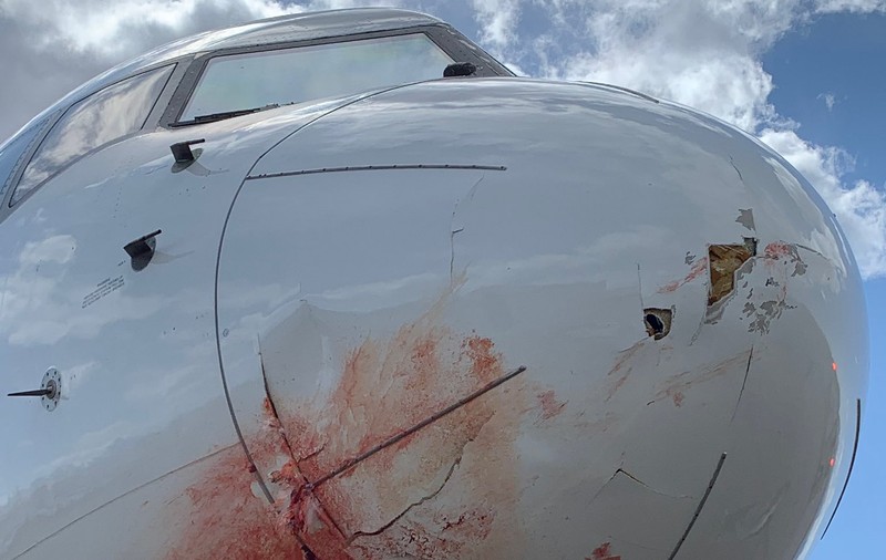 Avionul care transporta echipa de baschet Utah Jazz s-a întors de urgență pe aeroport, după ce a lovit un stol de păsări
