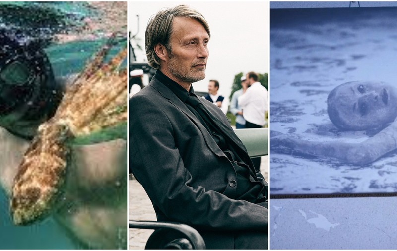 Felicitări „Another round” și „My octopus teacher” pentru victorie, mulțumiri Alexander Nanau pentru filmul tău extraordinar!