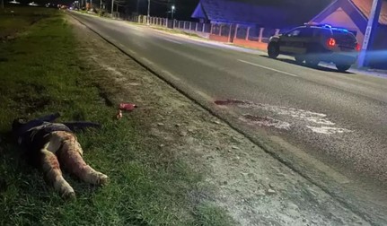Șase adolescenți din Vaslui au înscenat o crimă pe marginea DN24, cu un manechin de paie și vopsea roșie