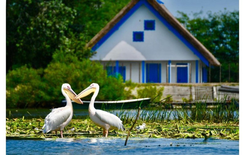 Cazare în Delta Dunării la Pensiunea Obretin