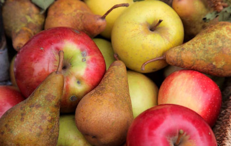 Topul alimentelor săţioase şi sărace în calorii