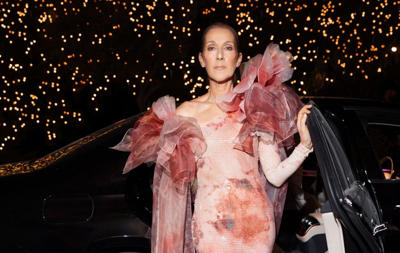 Cum arată gemenii lui Celine Dion la 14 ani. Motivul pentru care artista a montat butoane de panică în casă