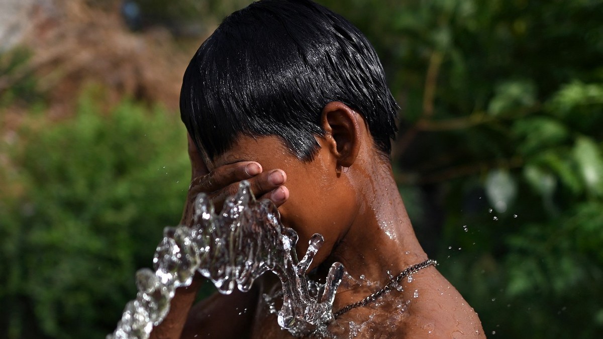 Arhiva foto