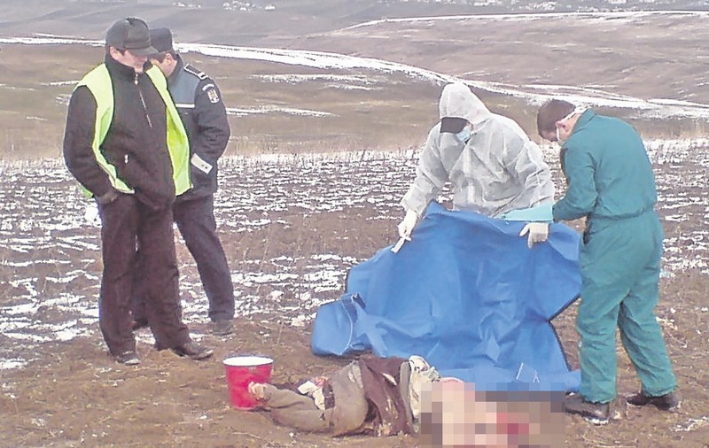 Un bărbat a fost găsit mort după ce l-a atacat o haită de câini
