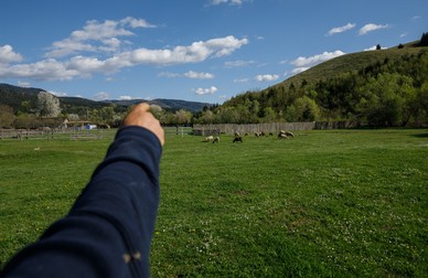 Arhiva foto