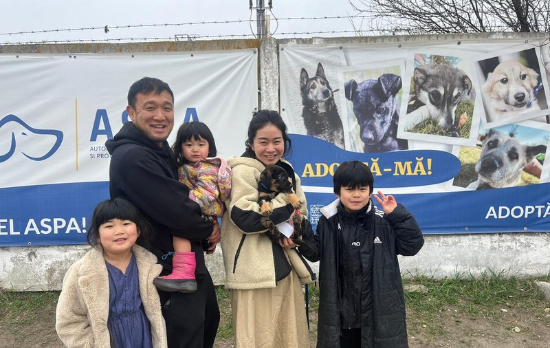 Un căţel din adăpostul ASPA Bragadiru, adoptat de o familie de japonezi. Primarul Capitalei: Peste 1.300 de căţei au fost adoptaţi anul trecut