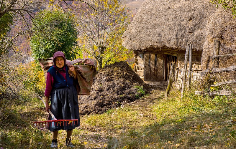 România secolului XXI - o ţară rurală, nu agricolă