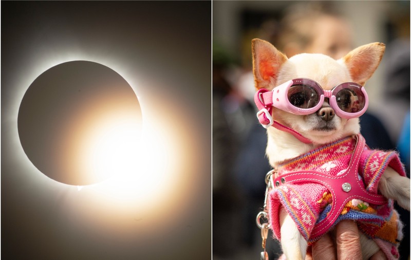 Cele mai spectaculoase 13 imagini cu eclipsa totală de Soare care a fost vizibilă în America de Nord