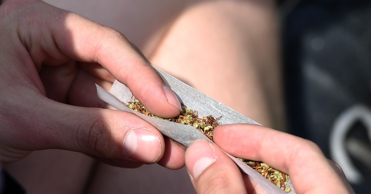consumul de marijuana in canada