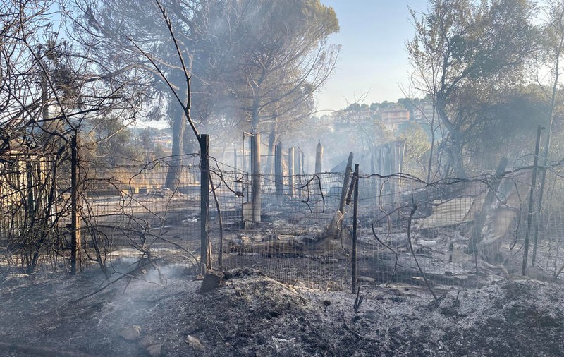 Mâna criminală a mafiei. Cartelurile, suspectate că sunt în spatele incendiilor de vegetație din Italia