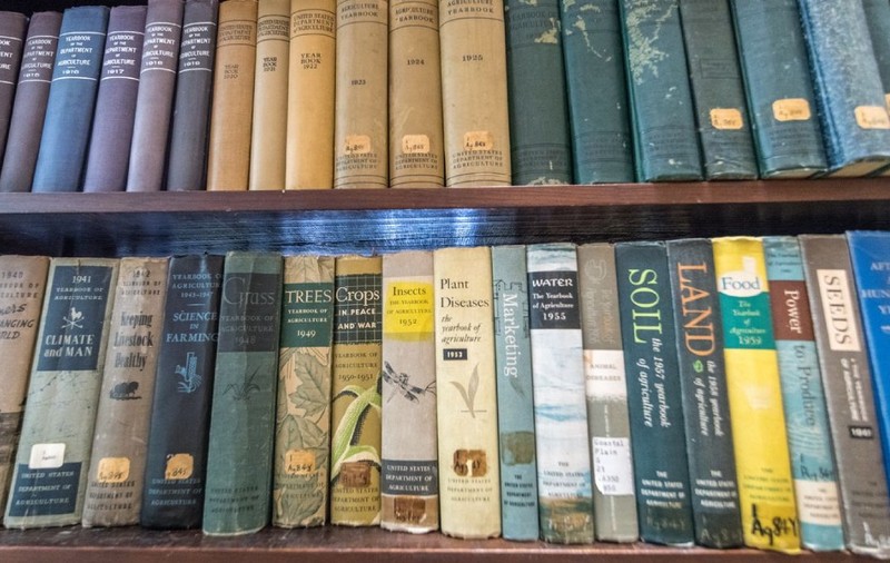 A returnat cartea împrumutată acum peste 100 de ani la bibliotecă: „Niciodată nu e prea târziu”