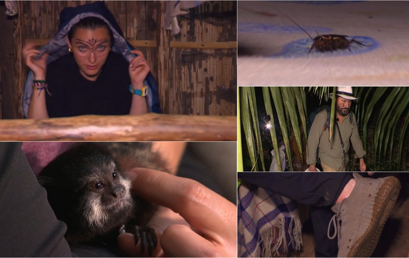 Echipele de la „America Express” 2023, experiență inedită în jungla amazoniană. „Era plin de insecte în cabană”