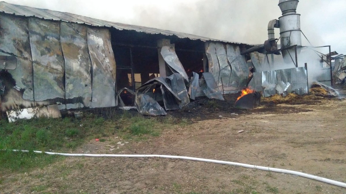 Incendiu la o hală de prelucrare a lemnului din judeţul Covasna