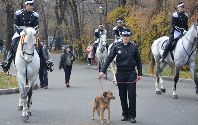 APARIŢIE INEDITĂ la parada de la Arcul de Triumf. PATRULELE CĂLARE ale POLIŢIEI LOCALE au venit cu o MASCOTĂ