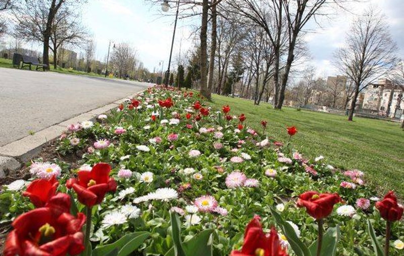 Vremea SE ÎNCĂLZEȘTE ÎN A DOUA ZI DE PAȘTE! Uite ce temperaturi anunță meteorologii