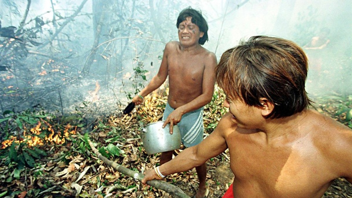 Arhiva foto