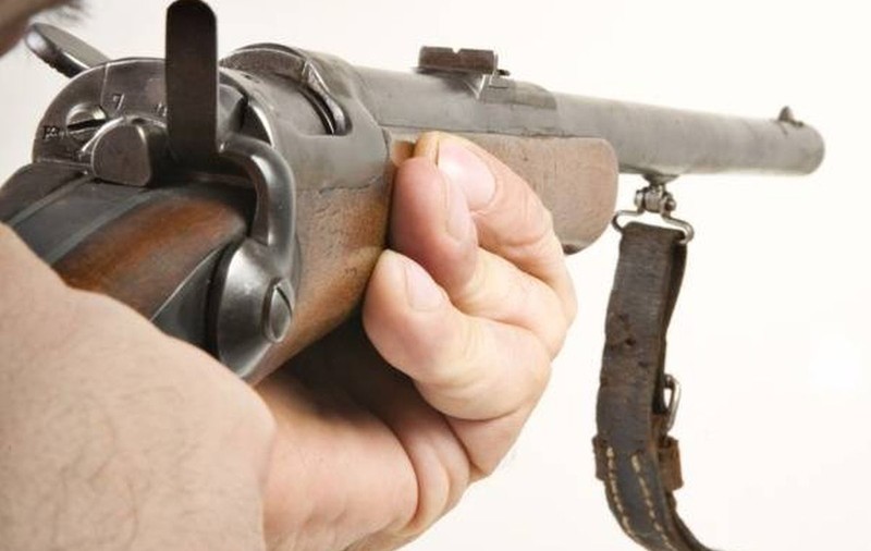 Episod șocant în județul Timiș. Un bărbat a împușcat doi câini cu arma de vânătoare