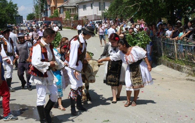 Fetele din Figa nu rămân nemăritate nici anul acesta. Tradiția, respectată cu sfințenie de sute de ani în județul Bistrița-Năsăud