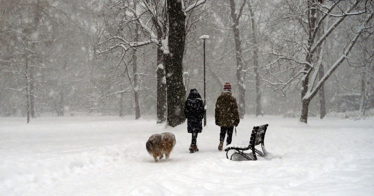 Două persoane care merg pe o alee într-un parc, afară ninge puternic, iar aleea este acoperită de zăpadă