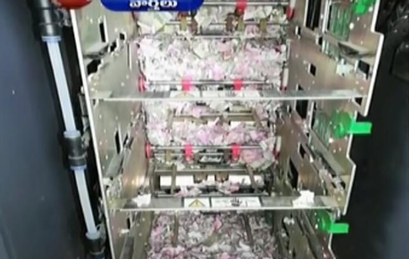 Mai mulți șobolani au ros 17.600 de dolari dintr-un bancomat