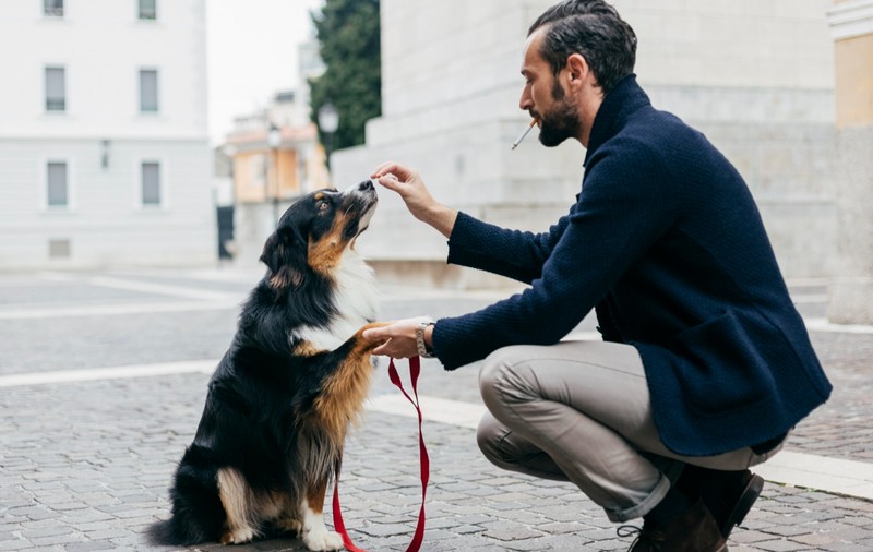 Cum ajunge fumatul pasiv să îmbolnăvească animalele de companie. Avertismentul medicilor veterinari