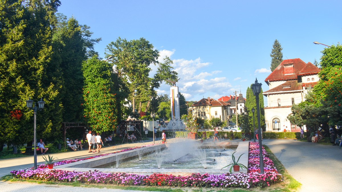 Arhiva foto