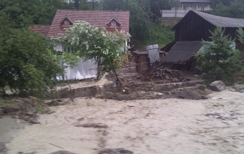 Vreme extremă în România. Zeci de locuințe inundate, copaci doborâți de furtună și locuințe fără electricitate în Caraș-Severin, Timiș și Vâlcea