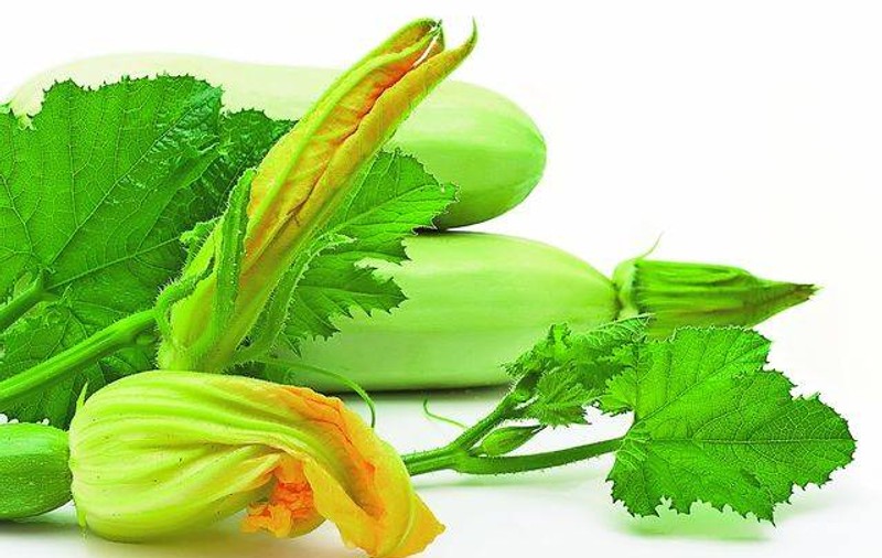 CIORBĂ DE DOVLECEI