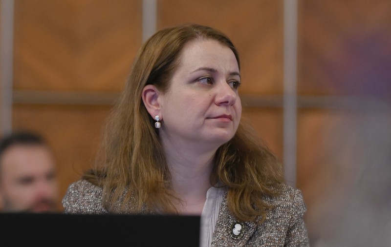 Cazul Nicolae Titulescu: Ministerul Educației va verifica prin sondaj cum e aplicată „procedura privind managementul cazurilor de violenţă” în școli