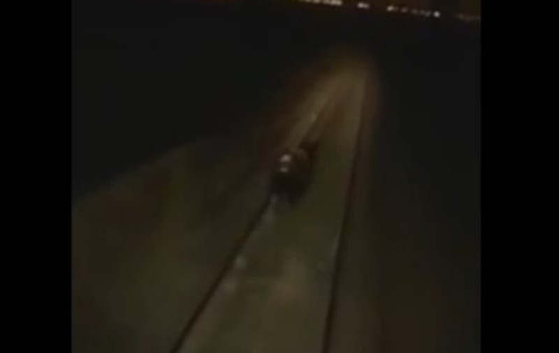 O locomotivă A CĂLCAT un URS în SIBERIA! Vezi aici cum a decurs URMĂRIREA mamiferului | VIDEO