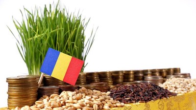 shutterstock_554276077