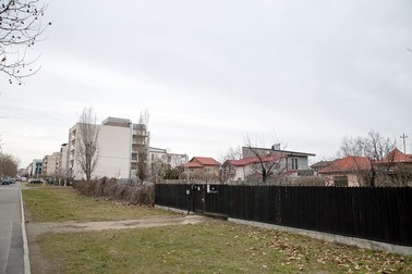 Gheorghe Ionescu Sisești