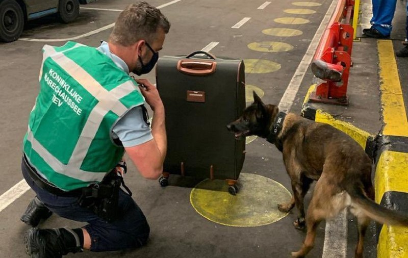 Român arestat pe aeroportul Schiphol din Amsterdam, a anunțat că are o bombă în bagaj. Amenințarea a fost falsă