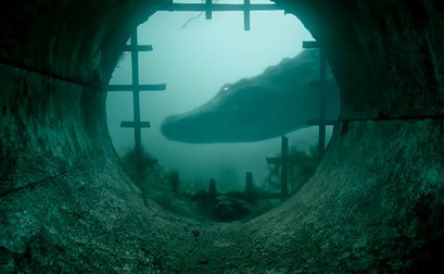 Aligatorii provin de la o fermă din apropiere / Foto: Paramount Pictures Corporation.