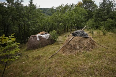 Petre a strâns fânul din marginea livezii