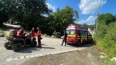 fata-muscata-caini-stana-piatra-mare-brasov-inmultire-atacuri