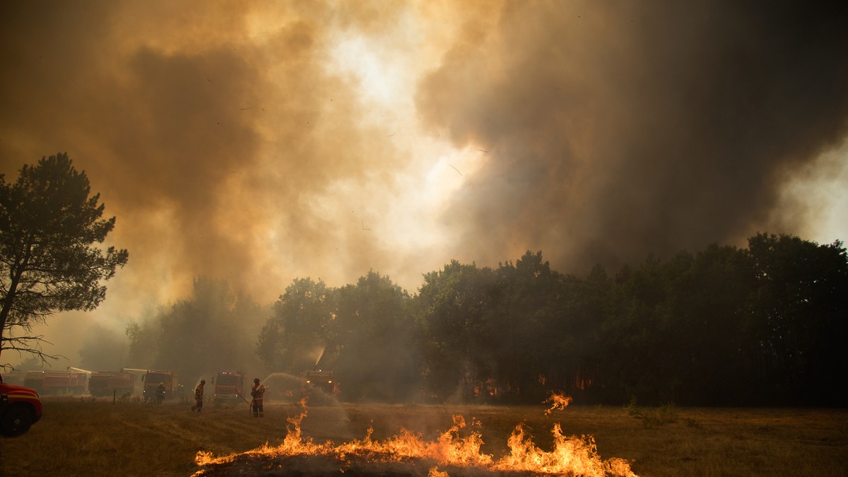 Incendiu devastator de vegetație în Franța. Sursă foto: Getty Images.