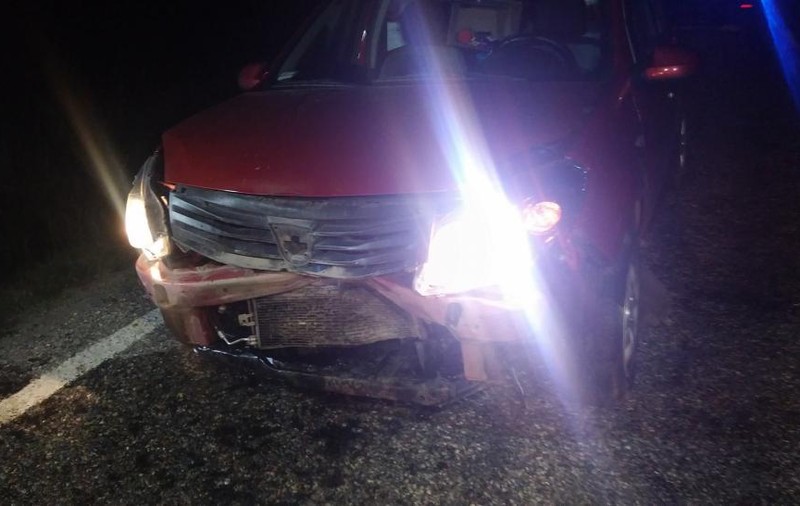 A omorât 33 de mistreți într-un accident în Gorj. Șoferul, „invidiat” de vânătorii din zonă