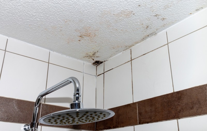 Cum să îndepărtezi mucegaiul din baie