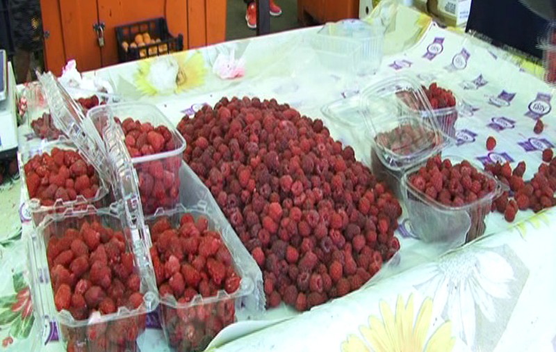 Producție bună de zmeură la Gornet. Localnicii se plâng însă că sunt nevoiți să o vândă prea ieftin