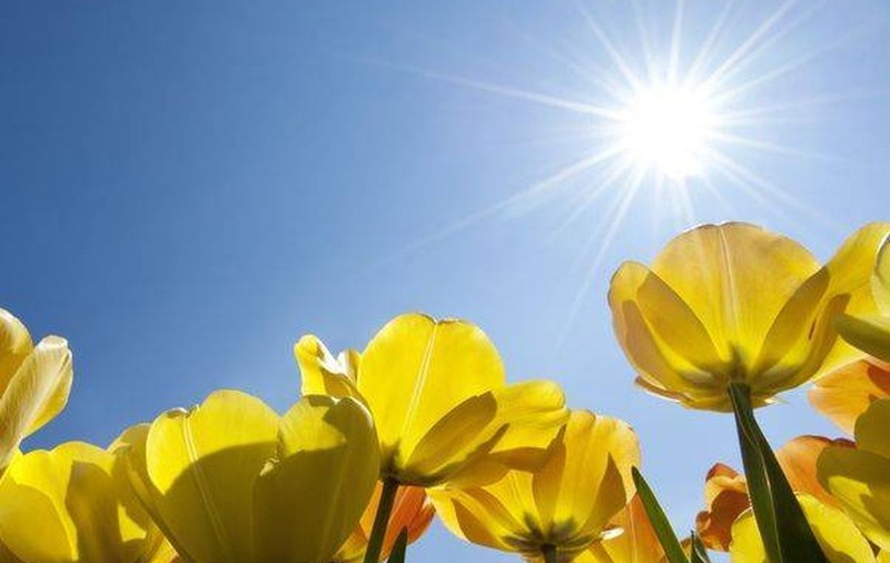 PROGNOZA METEO | Cum va fi vremea marţi şi miercuri