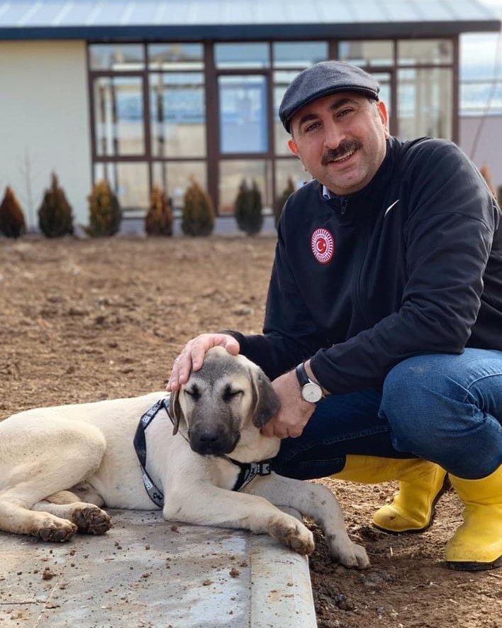 Ministrul Justiției din Turcia, Abdulhamit Gul